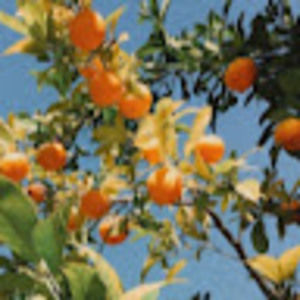 Meet your Posher, Magaly